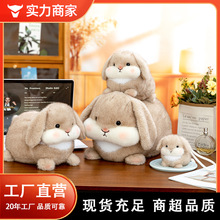 �S���ë�q��߿�ͨС�Ò��������С̖ë�q������̹�؛�T��F؛