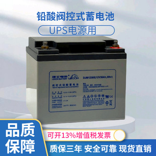 ��ʿ(LEOCH)DJMϵ���U����늳�DJM1238S��S�o늳�12V�ɳ��