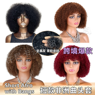 ���ޱ�ը�^�ٰlAfro Wig����С���ٰl�^�ךW�����˰l�羳�F؛���l