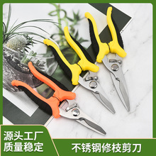 ���P䓈@ˇ���߶�����֦�����FƤ����늾���늹����I������֦��