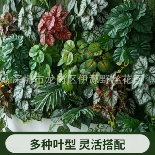 仿真彩叶芋绿植植物墙造景植物龟背叶矾根叶绿萝叶装饰芋叶植物