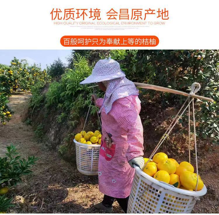 微信图片_20231222213110