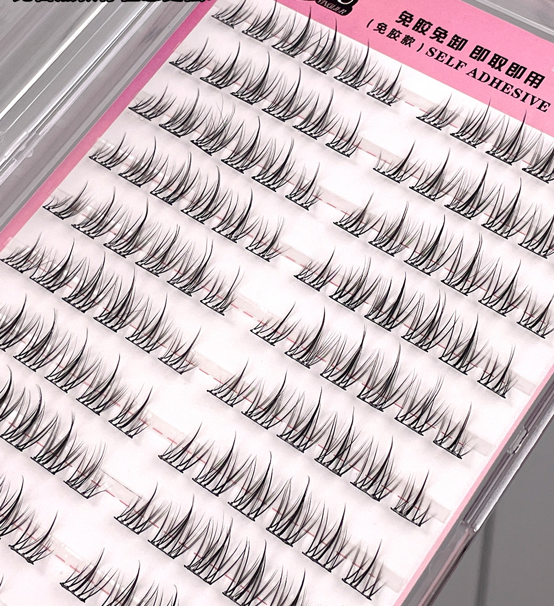 10 filas de girasoles sin pegamento