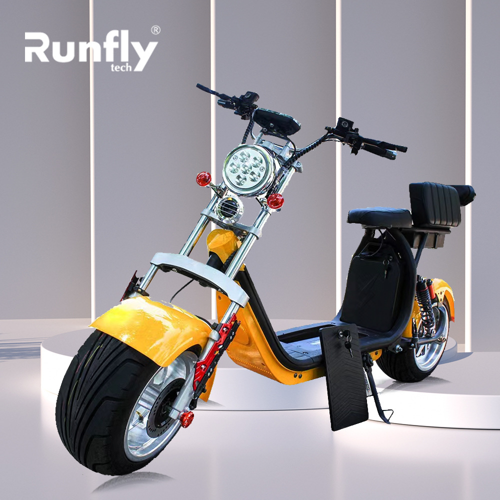 Exported to Russia Wide-Tire Two-Wheeled Harley-Style Electric Scooter Citycoco Electric E Bike