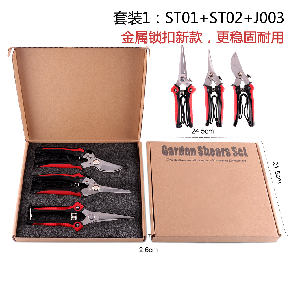 정원 전단 세트 1