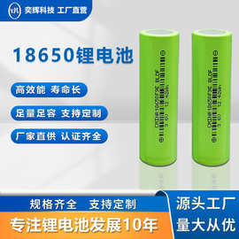 锂电池组18650可定制ogo定制大容量标准稳定输出可电池组