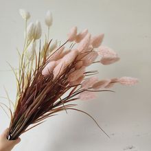 ���滨��β�Ͳ�5�^�JȔ����������ɻ��͏d�����b�ˇ�͹Ŕ[�O