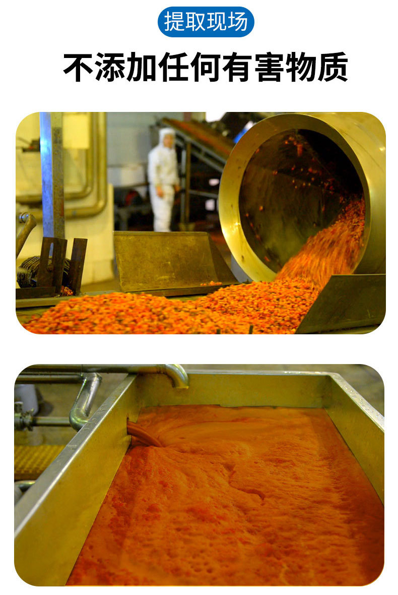 Wild Sea Buckthorn Juice Puree 20kg Bulk Bag Inner Mongolia Sour Berry Pulp specifications