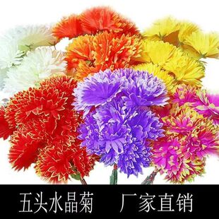 ���뻨С̖ˮ�������^���^���^�ջ������[�ż����������ω���Ĺ