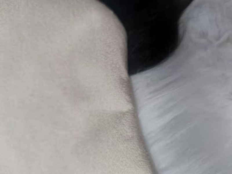 微信图片_20220311181002