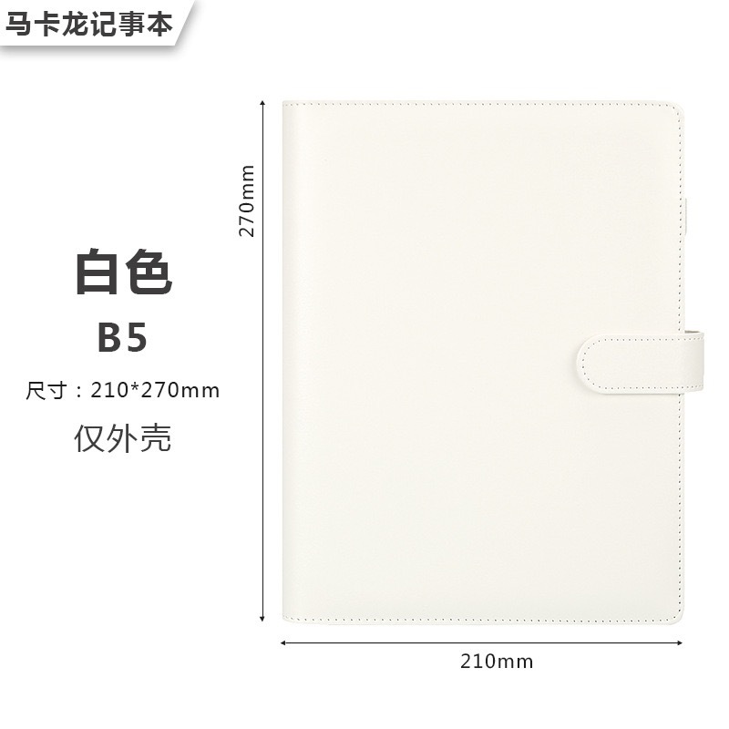 B5-white 단일 쉘)