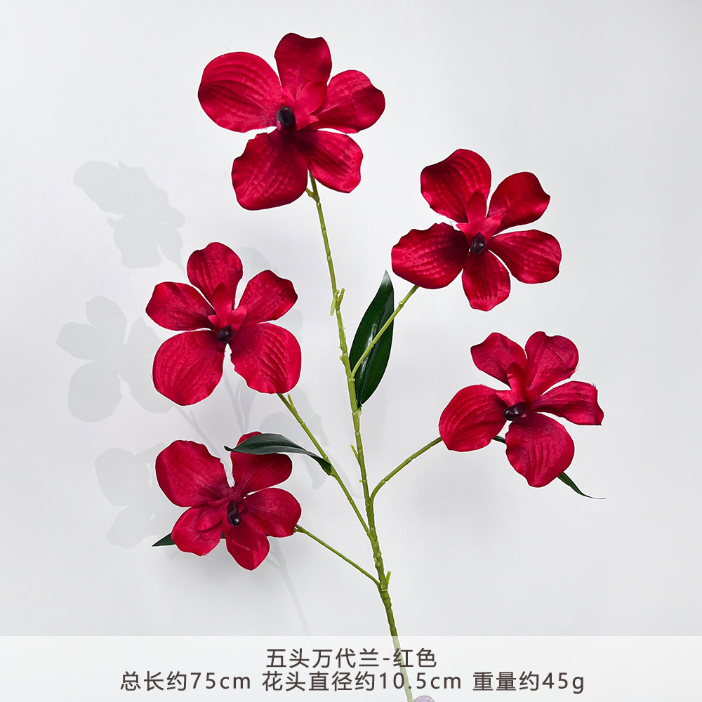 Ygf - five-headed vanda orchid - red