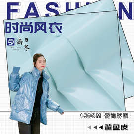 300T鲨鱼皮面料 春亚纺离型纸科技感涤面料 亮面羽绒服棉服面料