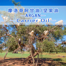 ĦԹԭlArgan Oil ֲ ҂ṩԭaC