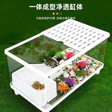 �B�����������������͸�����ӕ�̨�����쾰�e�����B���B��