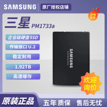 ���h�m�� ����PM1733a 1.92TB ��I���̑BӲ�P U.2�ӿ�  MZWLR1T9