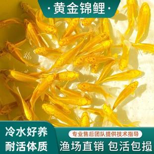 �S���\�����~��ؔ�~���~���~���B�ͻ���ˮ�~�~��С���~�^�p�~