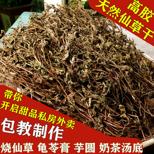 仙草干仙草冻黑凉粉草粿草汁正宗仙人粄草龟苓膏烧仙草 新鲜草干-阿里巴巴