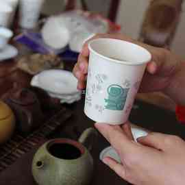 加厚一次性杯子纸杯整箱批售家庭办公500 1000只个茶水纸杯子