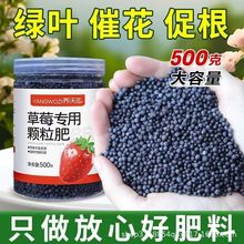 �N��ݮ���÷ʲ�ݮ�w����ጷ��̨��ݮ�����Բ�ݮ��I�B���ЙC����