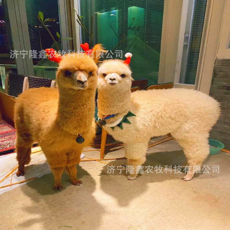 10df9ecb71a909973ace8aa0d46cfd