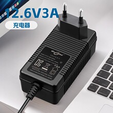 充電器12.6V3A歐規澳規美規英規固定插牆式鋰電池充電器帶轉燈