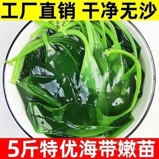 ��������ϼ���}�n����ѿ������С���b��偵��������l