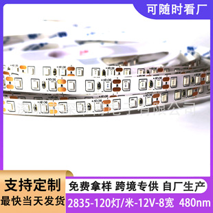 ledֲ�����L����ֲ�����B��ֲ���a���ֲ���ȫ���Vֲ�����̫
