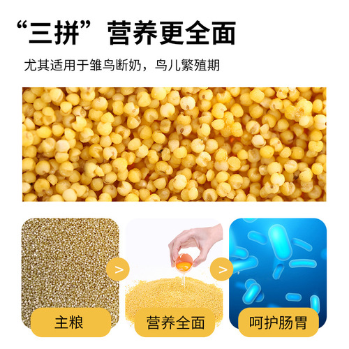 Parrot egg millet feed egg rice bird food yellow millet promotes egg laying tiger skin black phoenix peony breeding and brooding