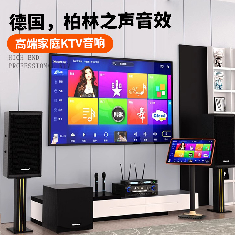 German Berlin Voice Home Ktv Audio Set High Quality Professional K Song Machine Karaoke Full Set of Speakers