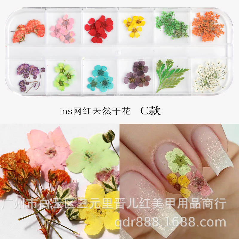 The Latest Japanese Style Dried Nails 12 Colors of Gypsophila Sunflower Daisy Plant Dried Flower Box 24 Manicure Dried Flowers The Latest Japanese Style Dried Nails 12 Colors of Gypsophila Sunflower Daisy Plant Dried Flower Box 24 Manicure Dried Flowers
