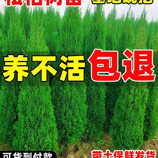 �ɰؘ����ļ�����ؘ����؂Ȱش�̖�����·�G���׻���B�A���ɘ�