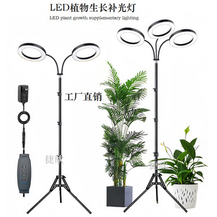 6����ʹ�h��s���_֧��ֲ����҃�ȫ���V����Gֲ�����L�a���