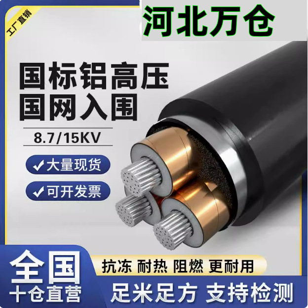国标高压铝芯电缆8.7/15KV35507095120150平方铠装电缆线铠装国标