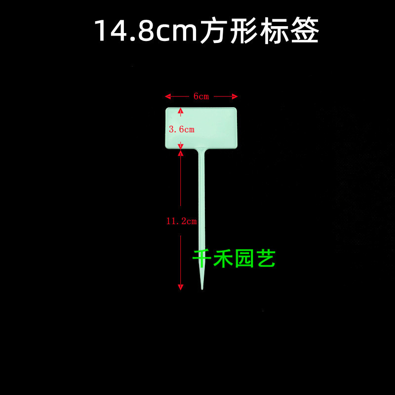 Green 14.8cm square label