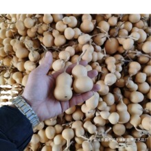 �S�����l��������С���J������澫ƷС���J��ˇƷ�ؔ����u