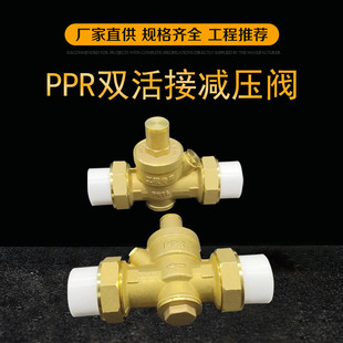 PPR�p����S�~�w���{���p���y dn20���̷�й©���ß��ېa���y���l