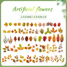 �����~Ƭ��ɫ���~ �f�}���S�չ��~Ƭ�b���� ������~���~���