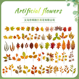 �����~Ƭ��ɫ���~ �f�}���S�չ��~Ƭ�b���� ������~���~���