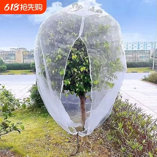 Fruit Tree Anti-Bird and Insect-Proof Net Cover Blueberry Greenhouse Lotus Mist Anti-Mosquito and Fly Mosquito Net Orchard Tree Household Encryption Planting