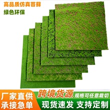 �S��̦�\��̦��ƺ��Ƥ�����������辰�Gֲ�b������ֲ���߷���