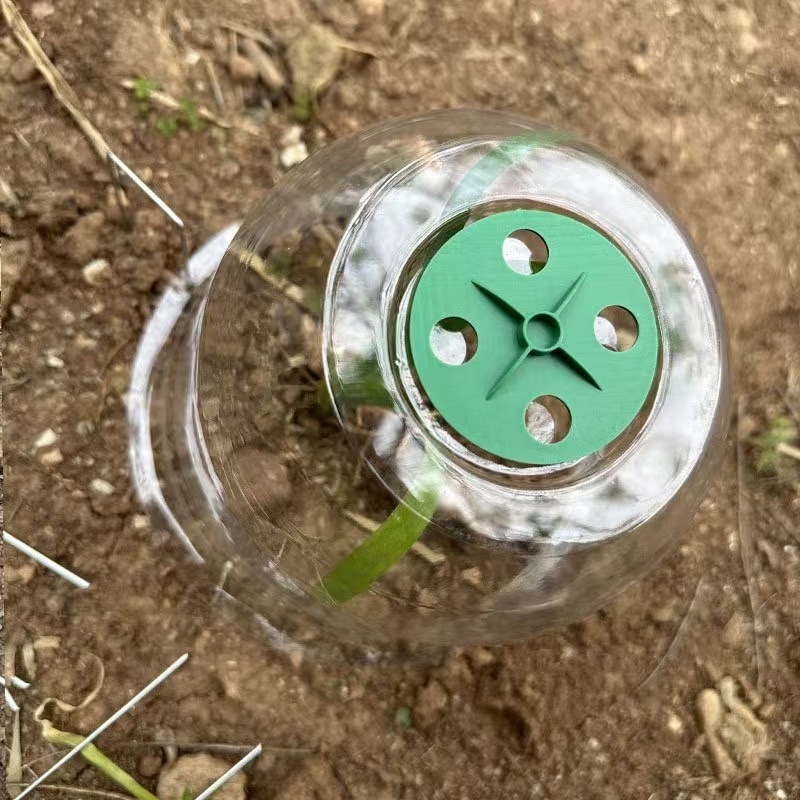 园艺绿植保温罩迷你温室养殖透气育苗罩塑料PET透明园林育苗罩|undefined