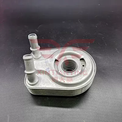 car radiator Trumpchi GA5/GS5/2.0 engine