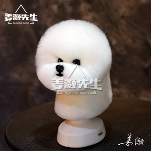 ��������teacher jiang����̩���F�e��ëģ�ͼٹ����^ë������ķ