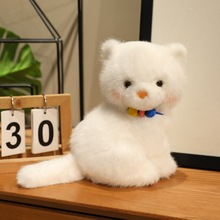 8������С����؈���޹�����ë�q�����ż���޾W�tŮ���Y��