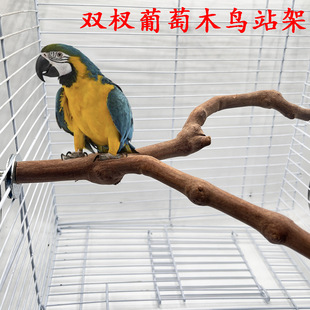 �W�^ĥצ��Ϣ��ľ�Bվ����Ȼ����ľ�p��Bվ�Uԭľ�B����B�\���