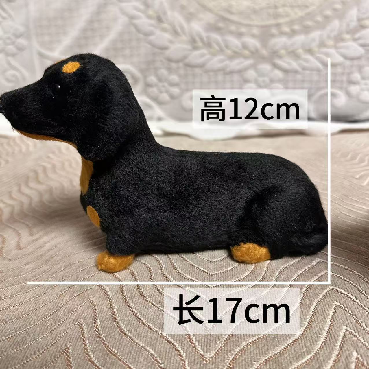 쪼그리고 앉아 있는 검은 닥스훈트