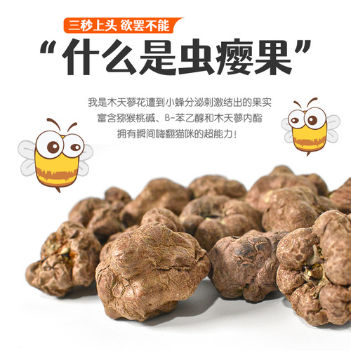 Mr. Meow Meow freeze-dried gall fruit, cat teething toy, self-stimulating artifact, catnip wood, polygonum cat snack supplies