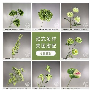 �Gɫ���滨ɭϵ��c�ٻ�����·���廨�Ƶ깰�T�b���ꐷ���Gֲ
