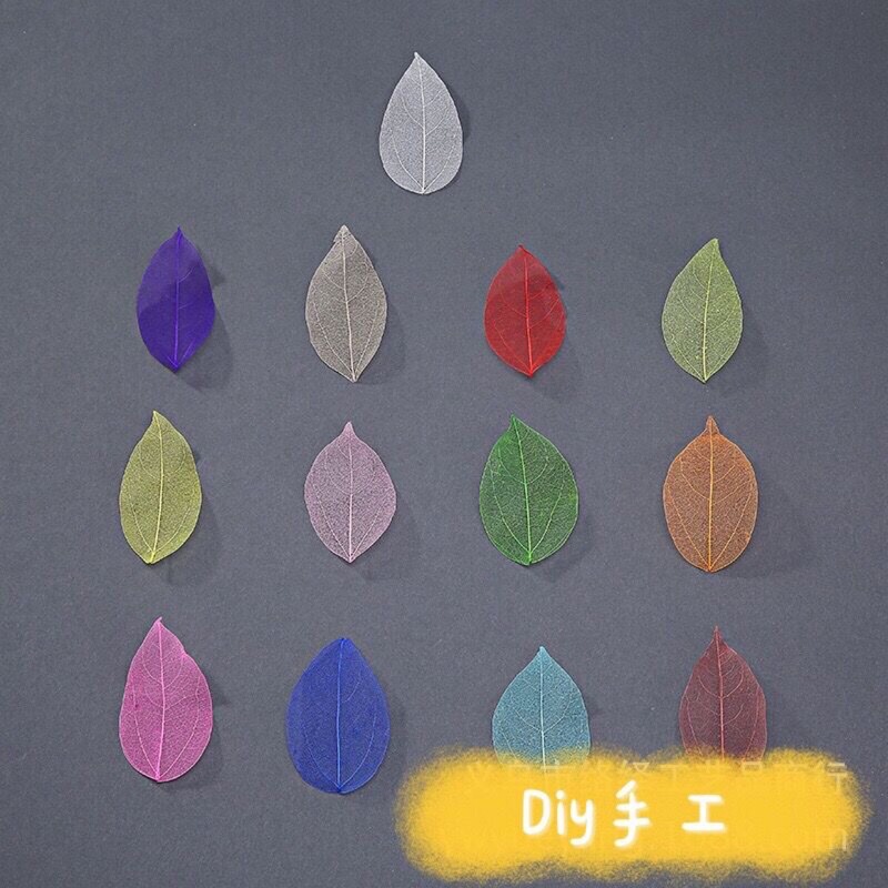 Diamond Leaf Vein Natural Material Background Picture Handmade DIY Photo Wide Decorative Painting Mural Craft Sticker Bookmark Leaf